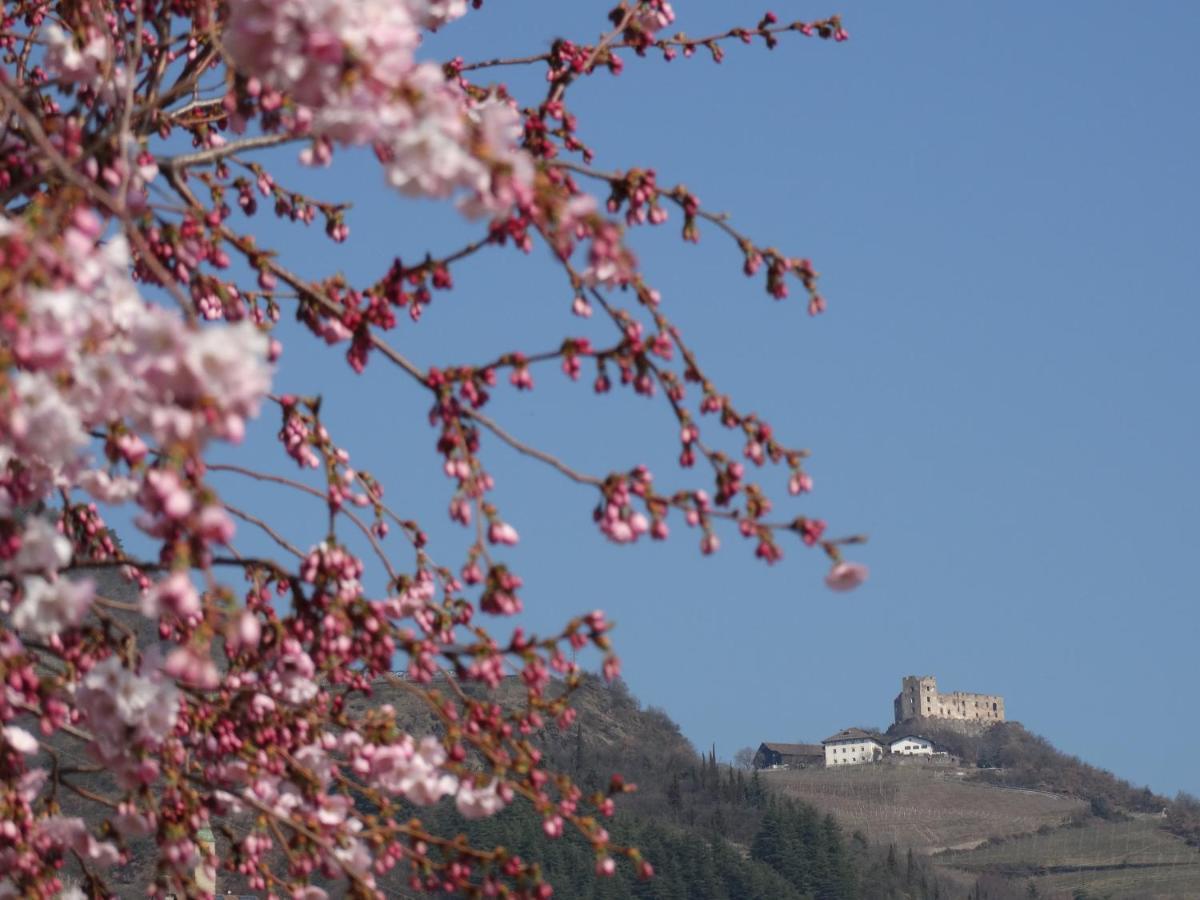 Sir Thomas Bed&More Bozen Exterior foto